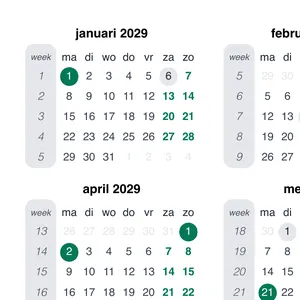 kalender 2029 zoom